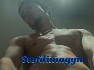 Stefdimaggio