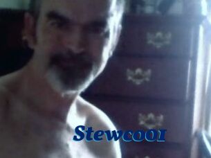 Stewco01