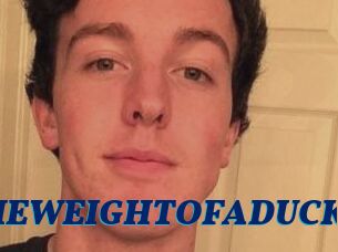 THEWEIGHTOFADUCK