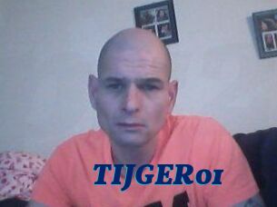 TIJGER01