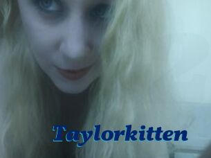 Taylorkitten