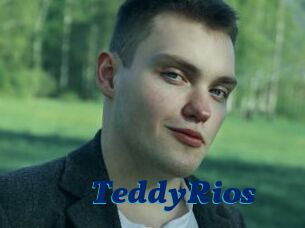 TeddyRios