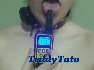 TeddyTato