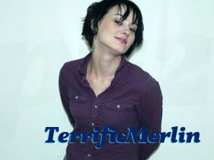 TerrificMerlin