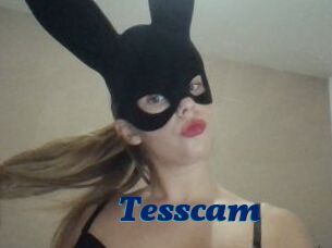 Tesscam