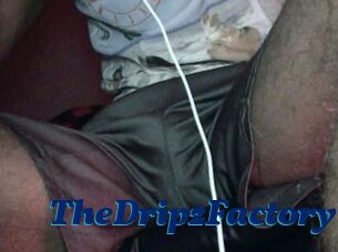 TheDripzFactory