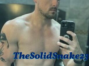 TheSolidSnake23