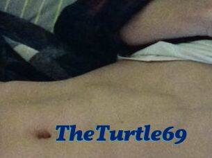 TheTurtle69