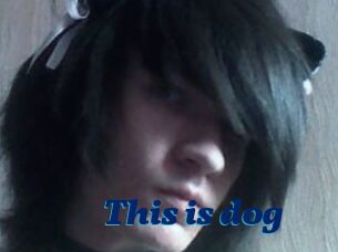 This_is_dog