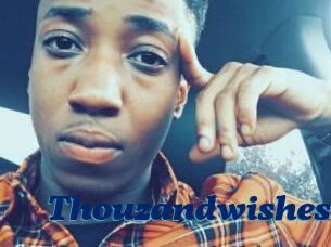 Thouzandwishes