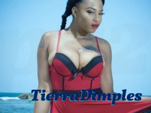 TierraDimples