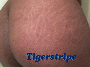 Tigerstripe
