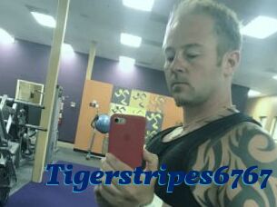 Tigerstripes6767