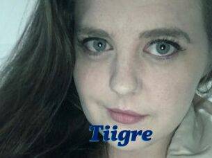 Tiigre_