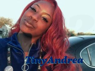 TinyAndrea