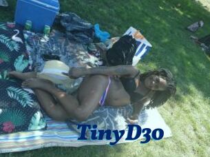 TinyD30