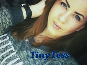 TinyTess