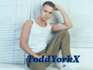 ToddYorkX