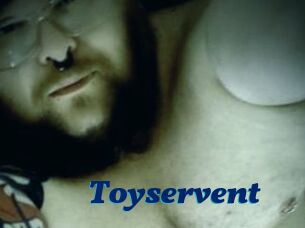 Toyservent