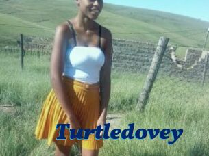 Turtledovey