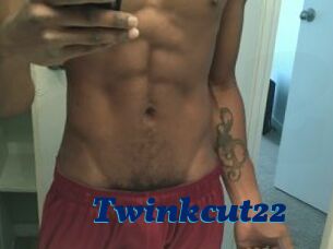 Twinkcut22