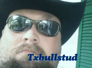 Txbullstud
