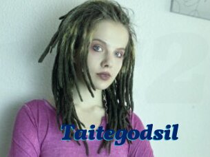 Taitegodsil