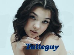 Taiteguy