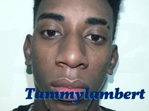 Tammylambert