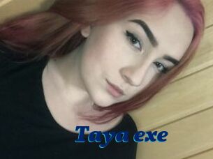 Taya_exe