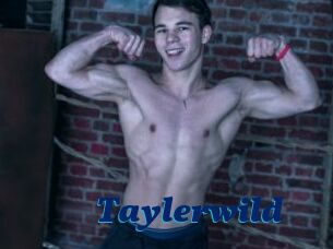 Taylerwild