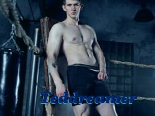 Teddreamer