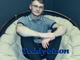 Teddybizon