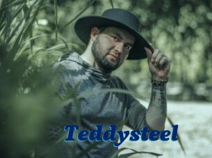 Teddysteel