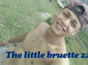 The_little_bruette_228