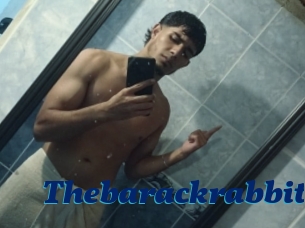 Thebarackrabbit