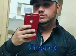 Tiger93