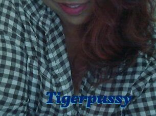 Tigerpussy