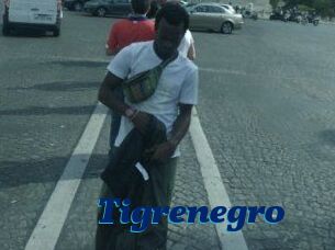 Tigrenegro