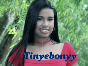 Tinyebonyy