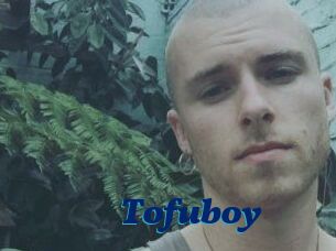 Tofu_boy