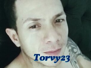 Torvy23