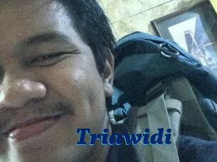 Triawidi