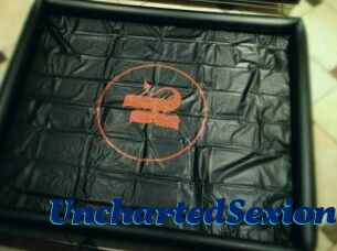 UnchartedSexion