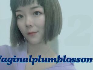 Vaginalplumblossom