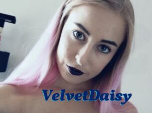 VelvetDaisy