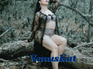 VenusKat