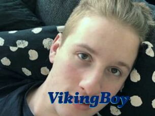 VikingBoy