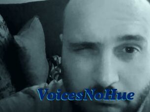 VoicesNoHue