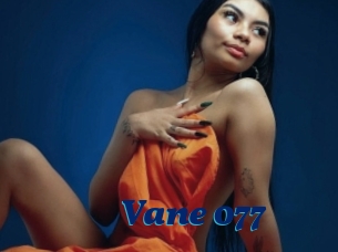 Vane_077